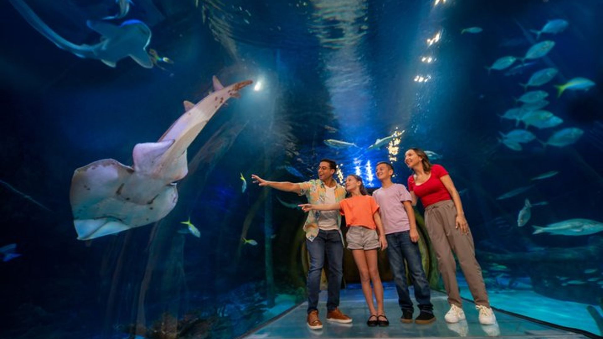 Orlando: SEA LIFE Aquarium, ICON Park Tickets, Plus Upgrades