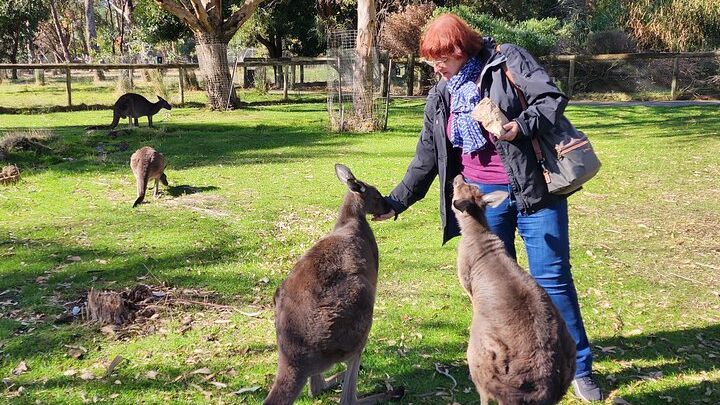 Adelaide Hills, Cleland Wildlife Park, and Hahndorf Tour