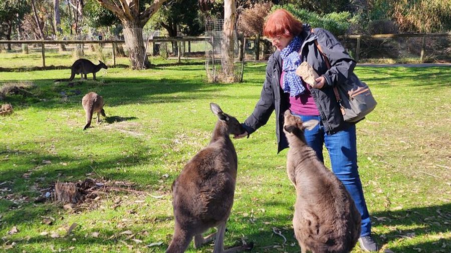 Adelaide Hills, Cleland Wildlife Park, and Hahndorf Tour