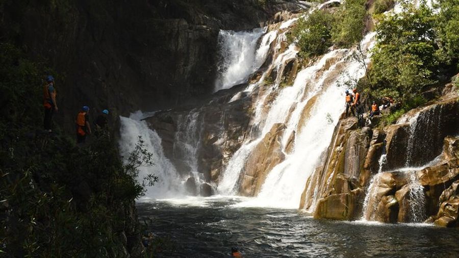 Cairns Small-Group Rainforest Canyoning Adventure With Pickup