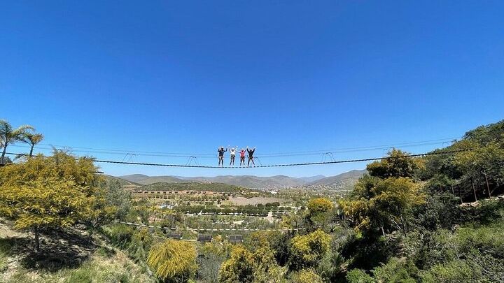 Las Canadas Ecopark and Bufadora private tour
