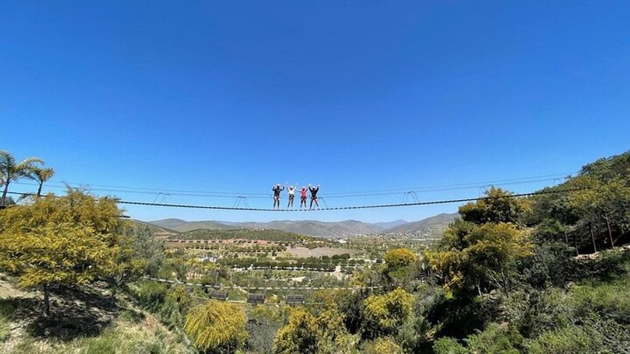 Las Canadas Ecopark and Bufadora private tour