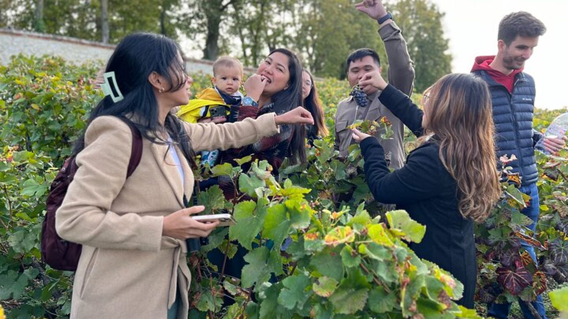Tour de champán por Epernay con degustación