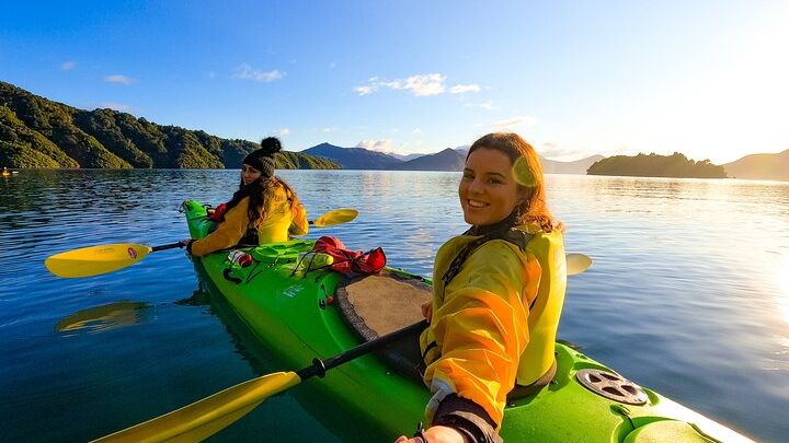 Marlborough Sounds Half-Day Sea Kayaking Tour from Picton