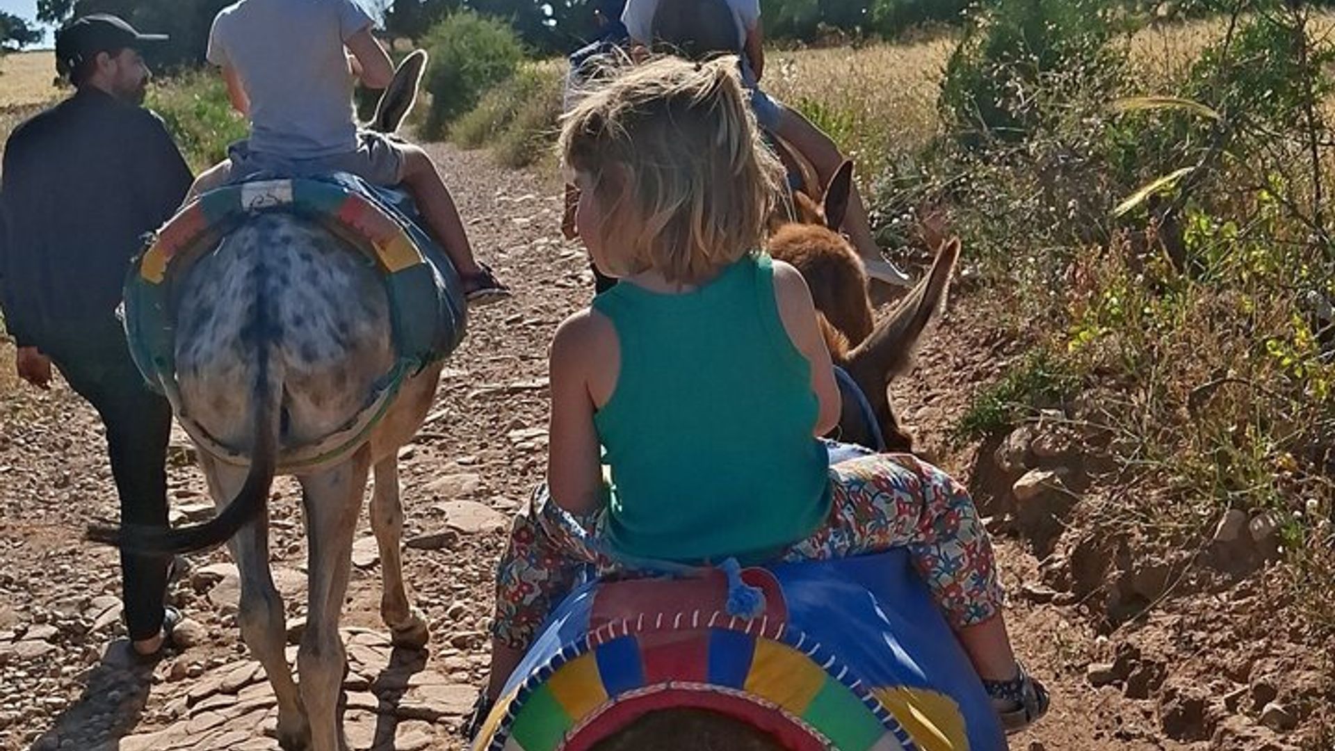 Berber Donkey Ride & Tea in Essaouira
