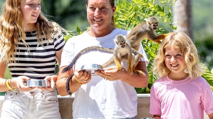 Monkeyland, Ziplining, and Coconut House From Punta Cana
