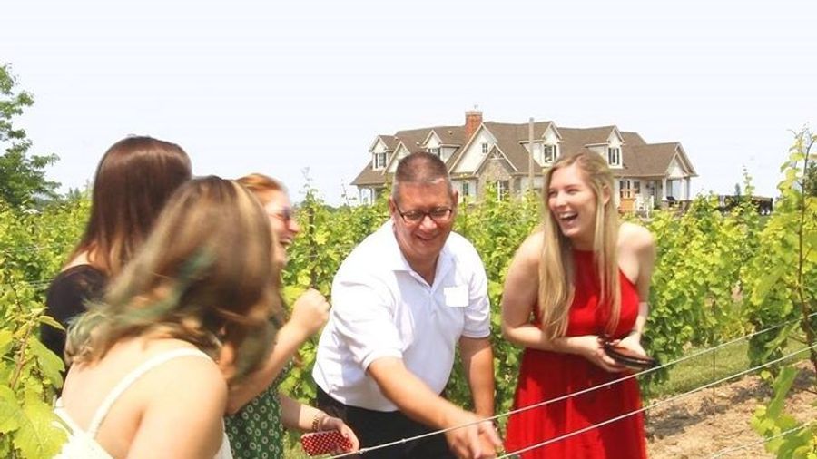 Wine Tasting and Pairing Afternoon Tour