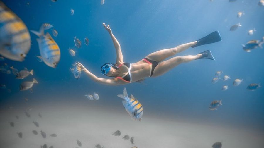 Los Cabos Snorkeling Tour to Chileno Bay and Santa Maria Cove