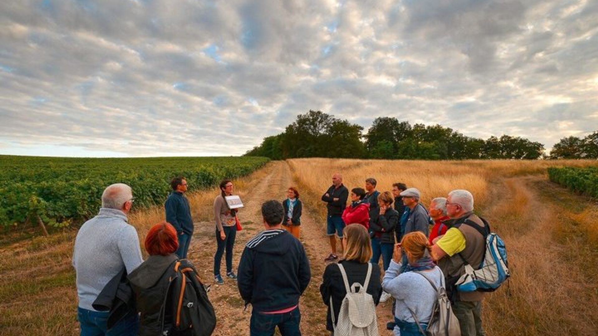 Valle del Loira, viñedo Vouvray y visita a la bodega con degustación
