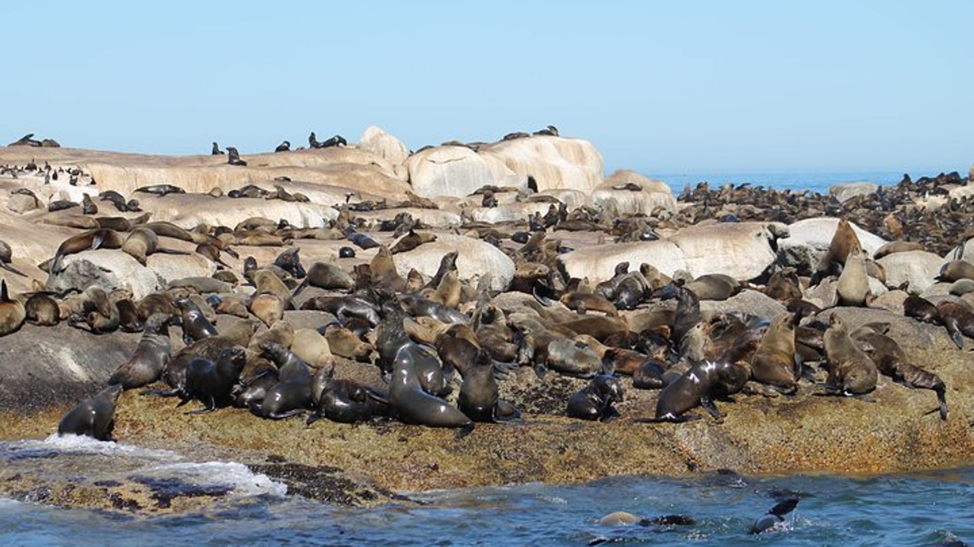 Johannesburg and Cape Town 7-Day Tour with African Safari