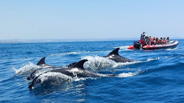 Cruise with Dolphins and Benagil Cave from Albufeira