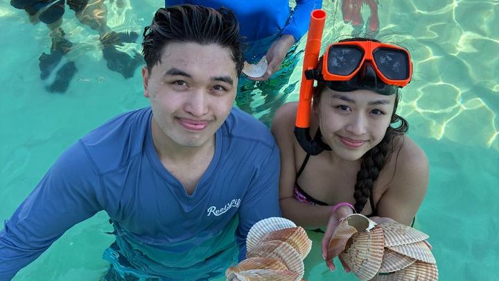 Swim with Dolphins And Snorkeling Group Tour
