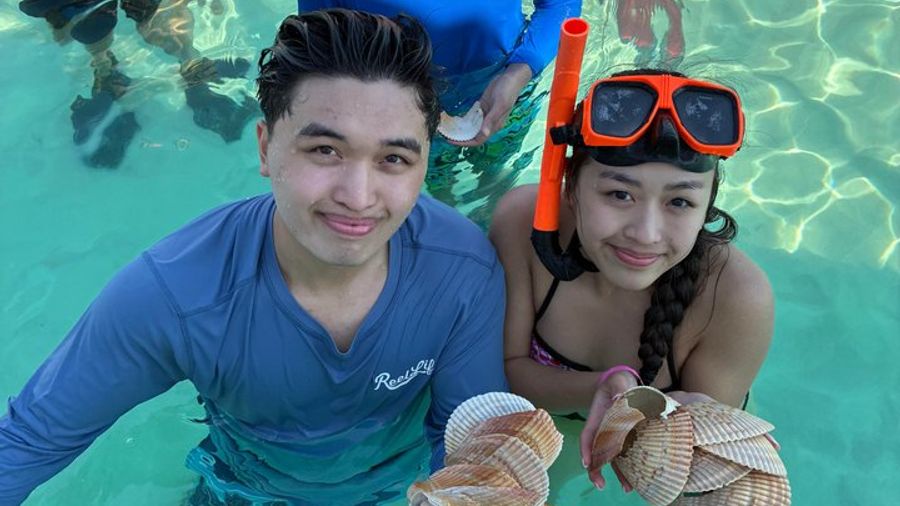 Swim with Dolphins And Snorkeling Group Tour