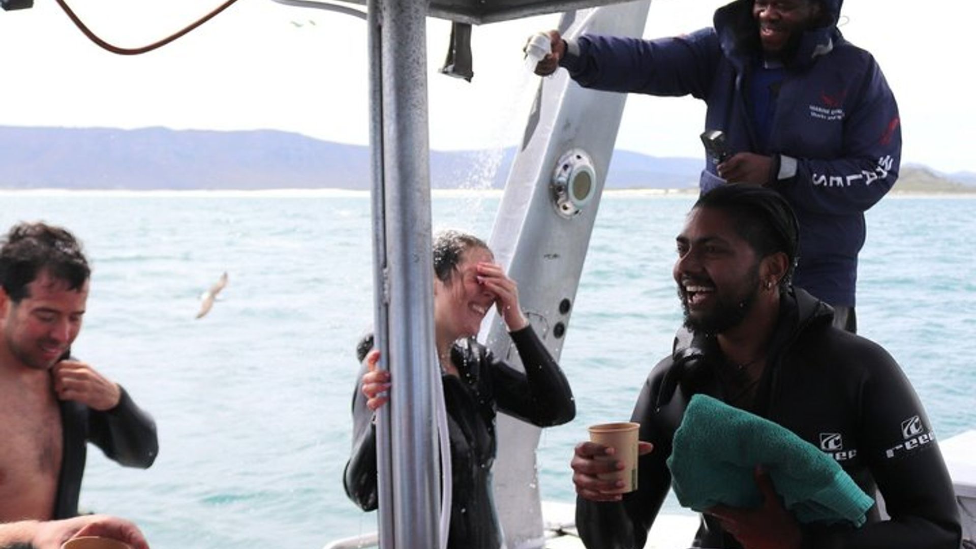 Experiencia de buceo en jaula de tiburones en Gansbaai desde Hermanus