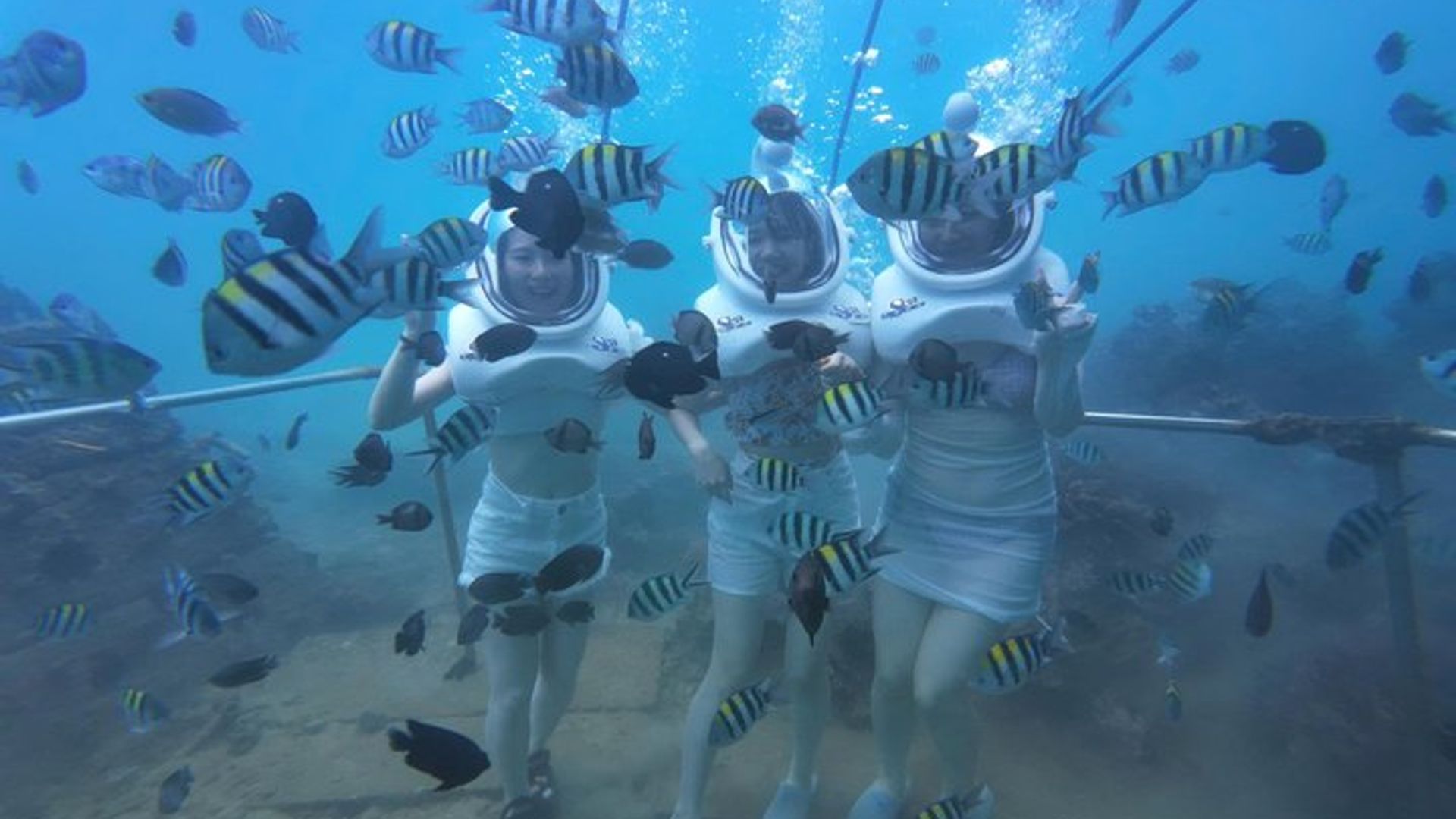 Cham Islands Full-Day Cruise: Underwater Walking, Snorkeling