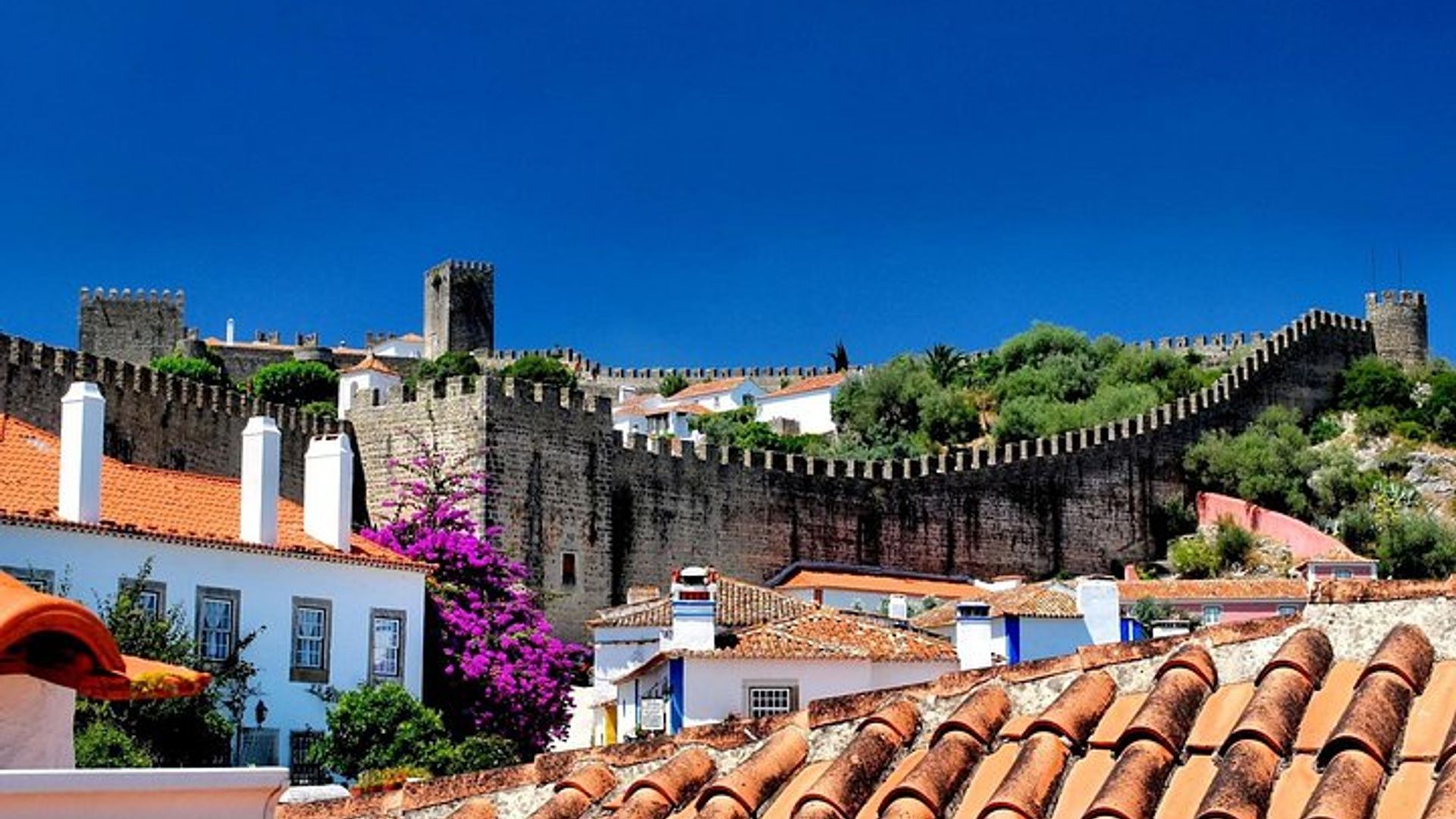 Excursión privada de medio día a Obidos y Nazaré desde LISBOA