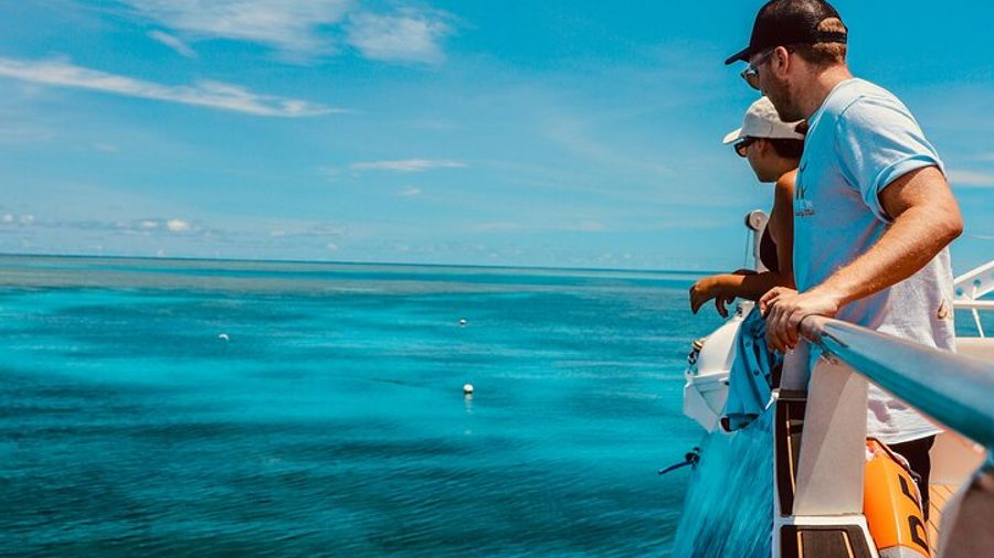 Cairns: Half-Day Great Barrier Reef Snorkel by Fast Boat