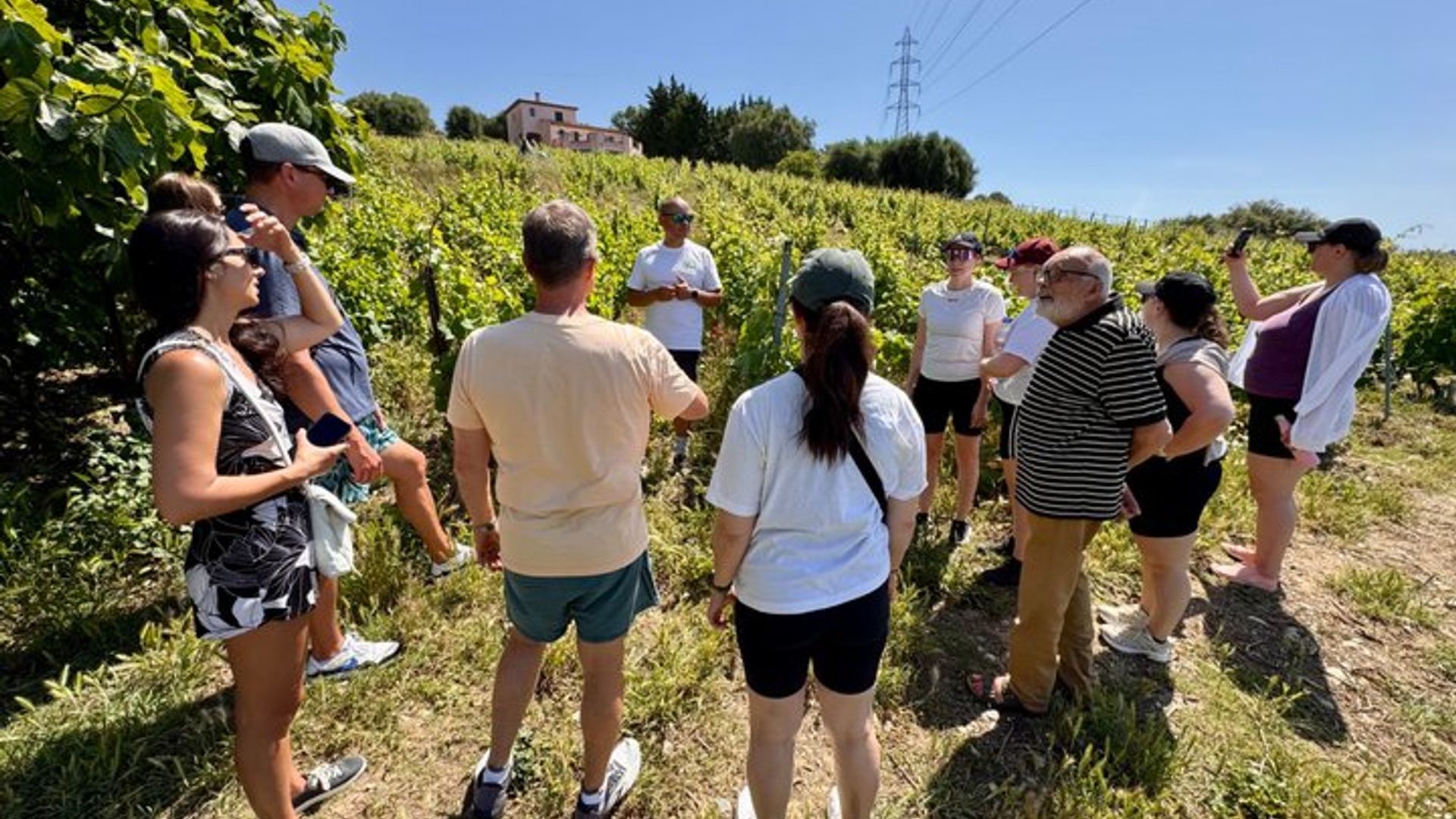 Schöne 4 - bis 5 -stündige E-Bike-Tour in kleiner Gruppe mit Weinprobe Weinberg