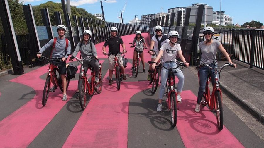 Auckland Neighborhoods Small-Group E-Bike Tour