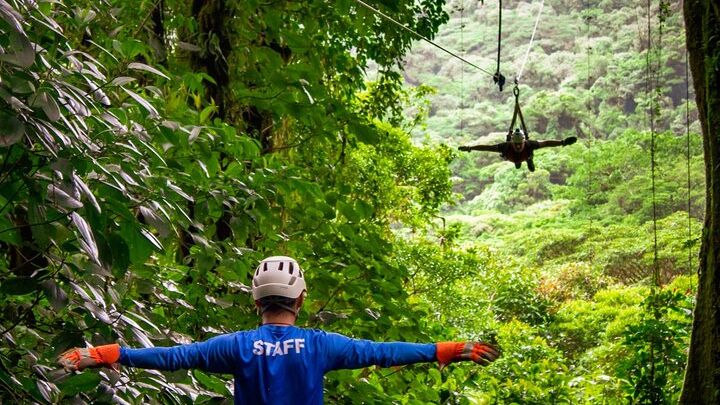 Monteverde Cloud Forest Reserve: Selvatura Park Canopy Zipline