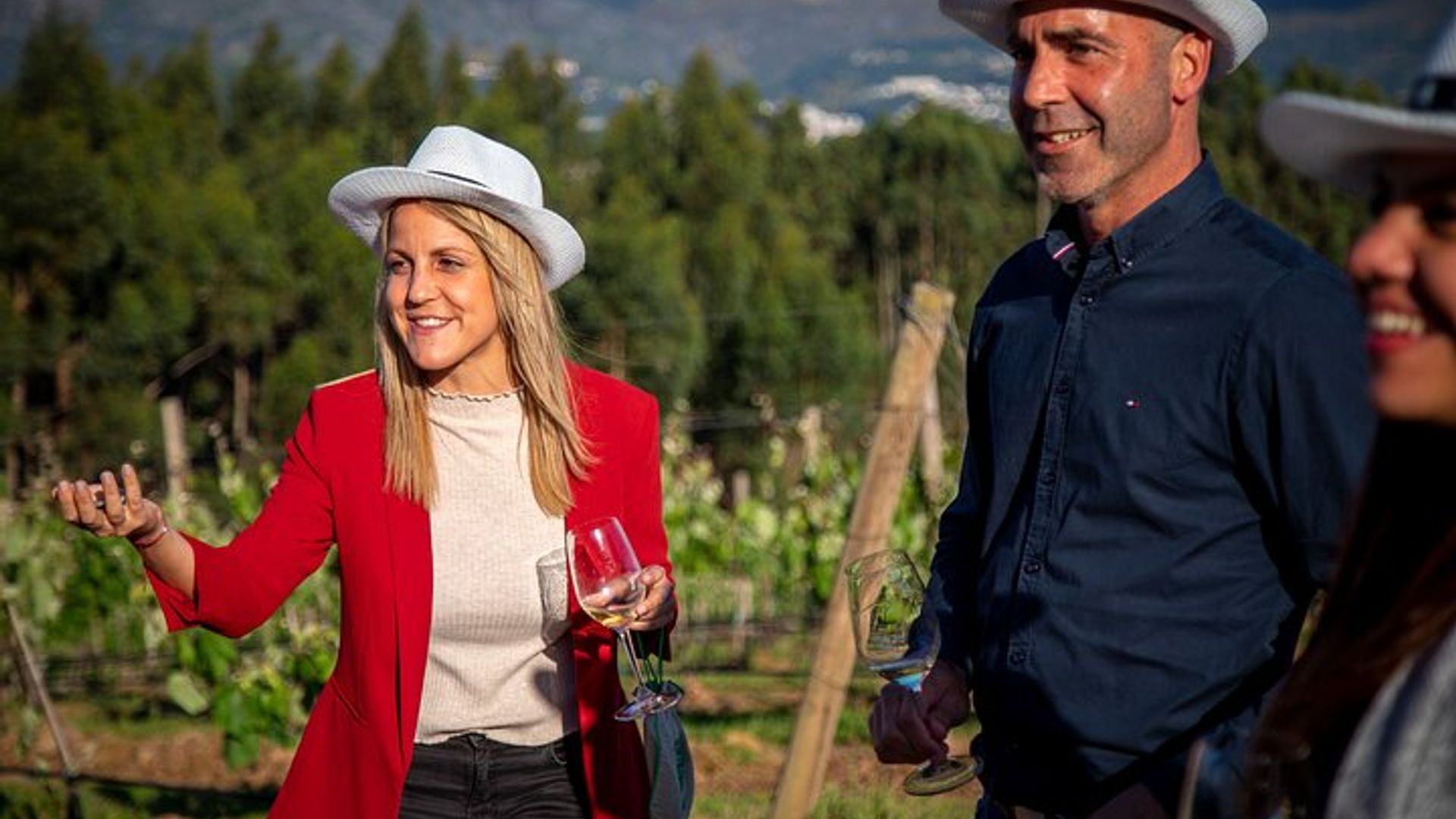 Recorrido por la Bodega Rías Baixas con Degustación de Albariño y Maridaje de Quesos