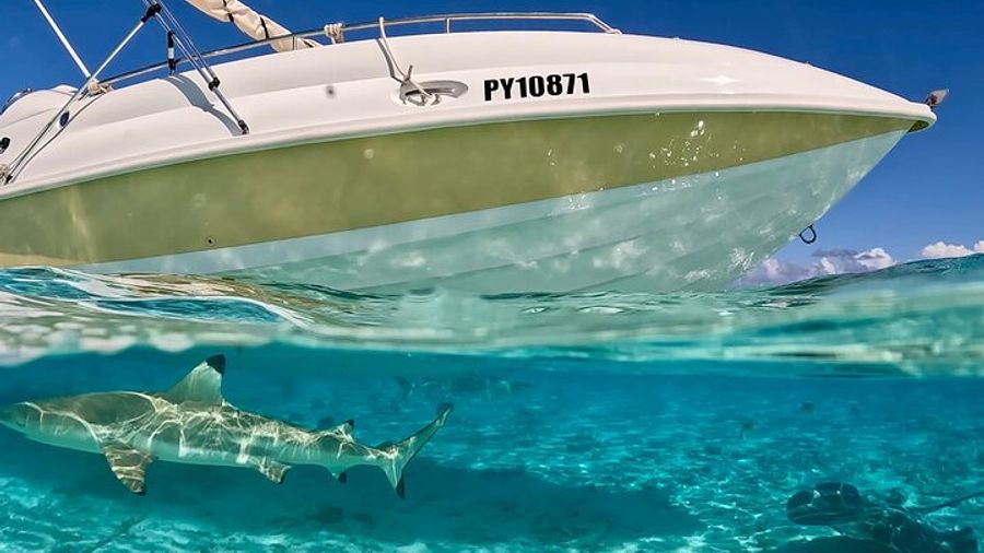 Bora Bora lagoon cruise, Comfortable boat, vibrant snorkeling.