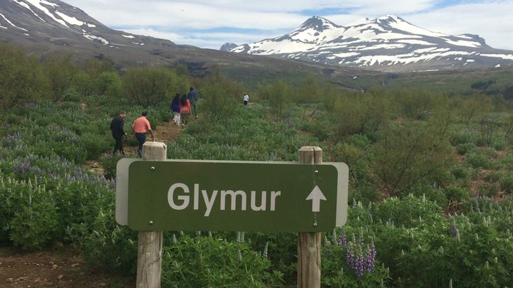 PRIVATE Glymur Waterfall Hike & Hvammsvík Nature Baths