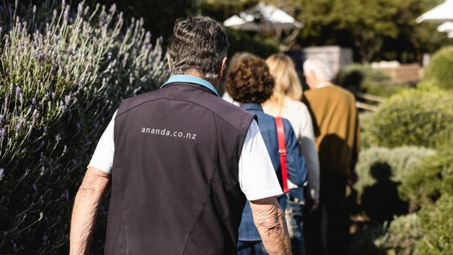 Waiheke Island Wineries Day Tour with Tastings and Lunch