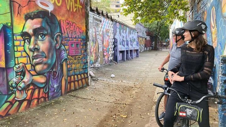 Sao Paulo Small-Group Street Art and Parks Bike Tour