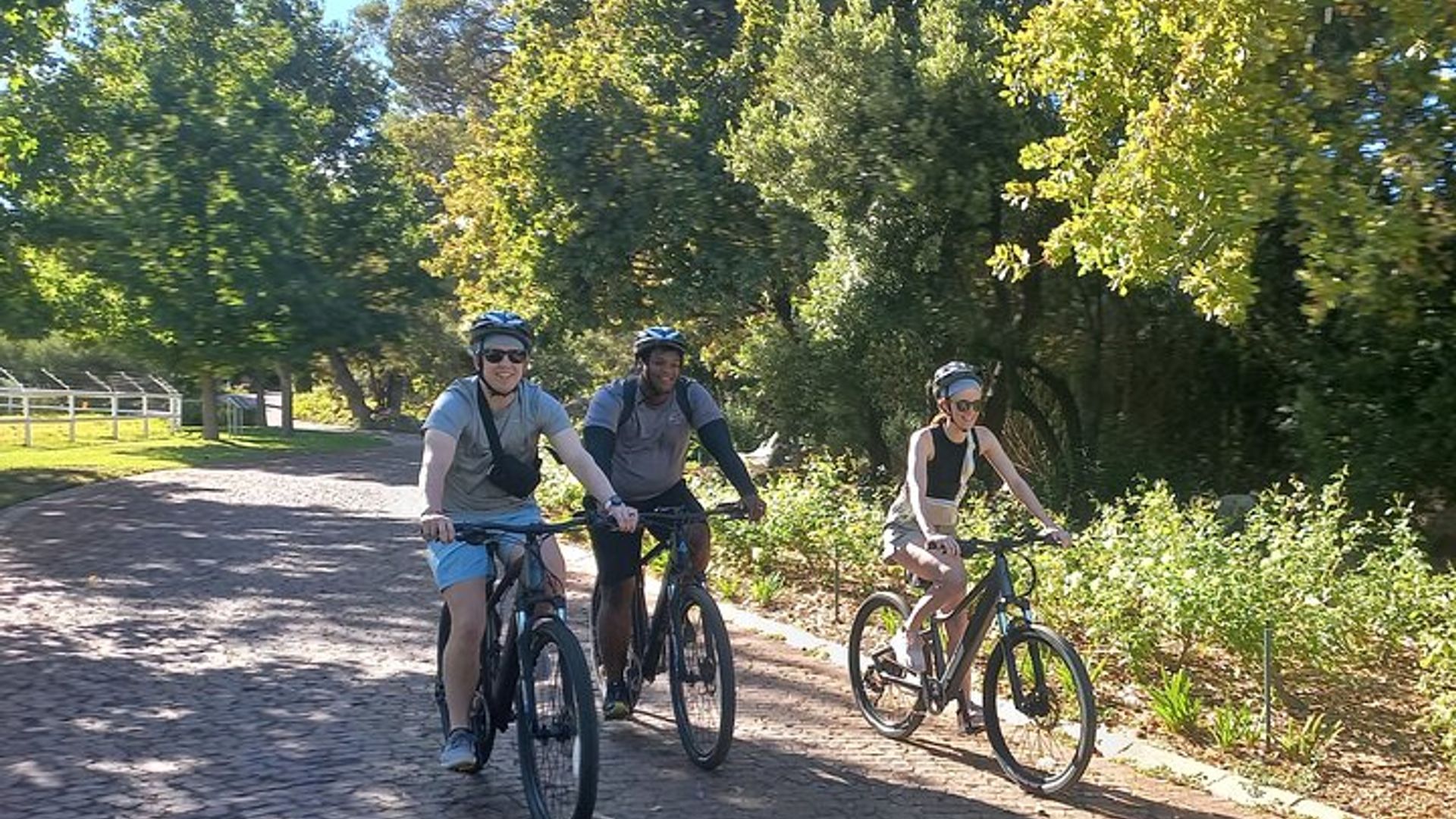 Visite privée de Franschhoek en vélo électrique et vin