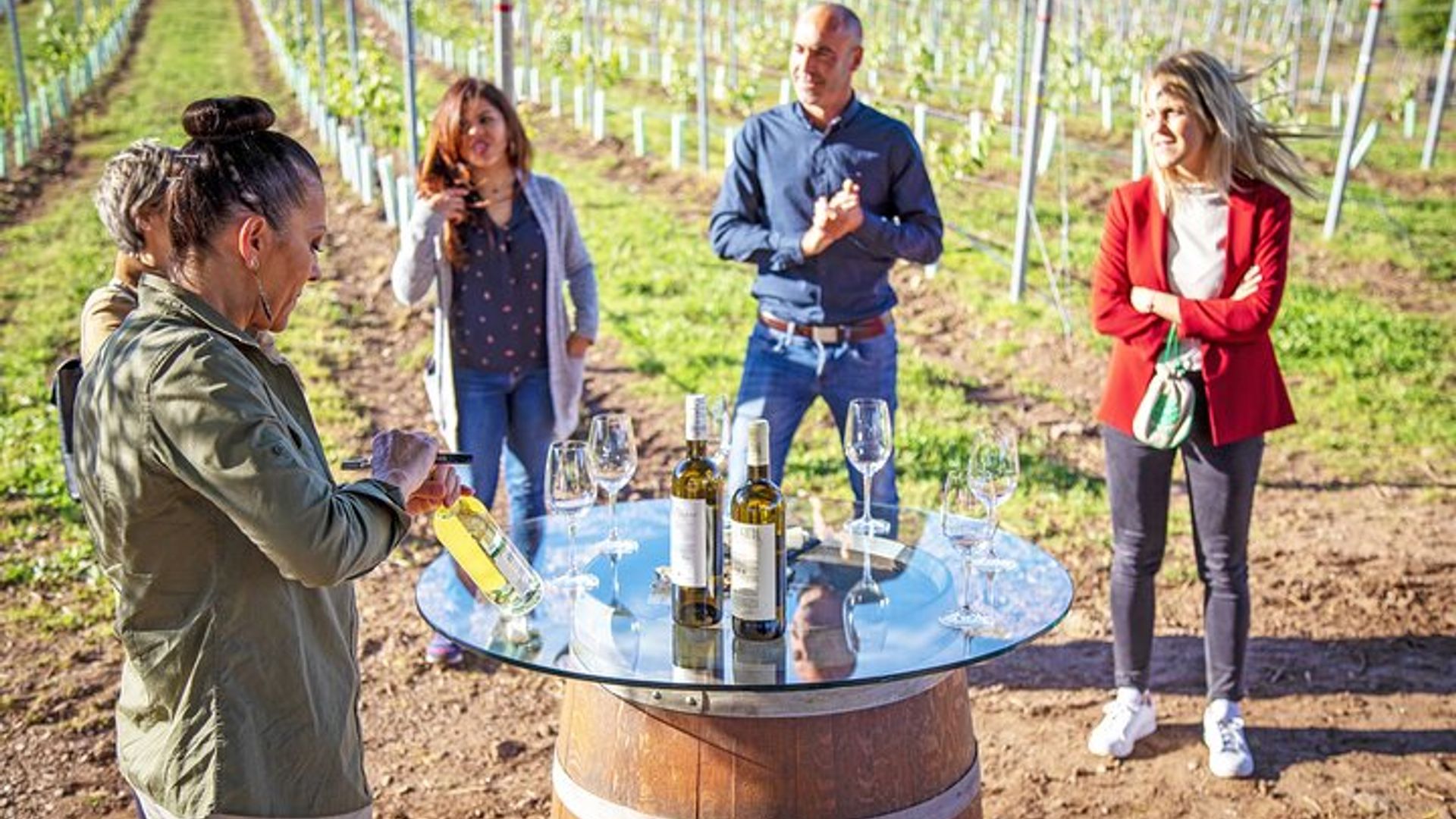 Rías Baixas Winery Tour with Albariño Tasting & Cheese Pairing