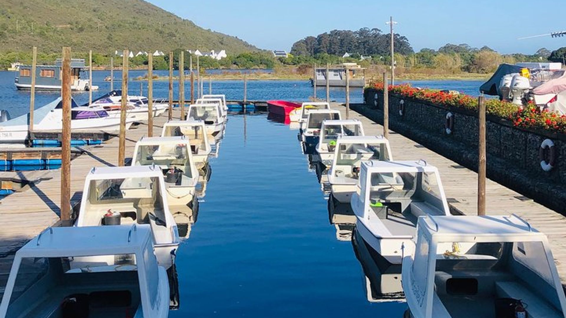 Garden Route Explorer: 5-Day Scenic Journey