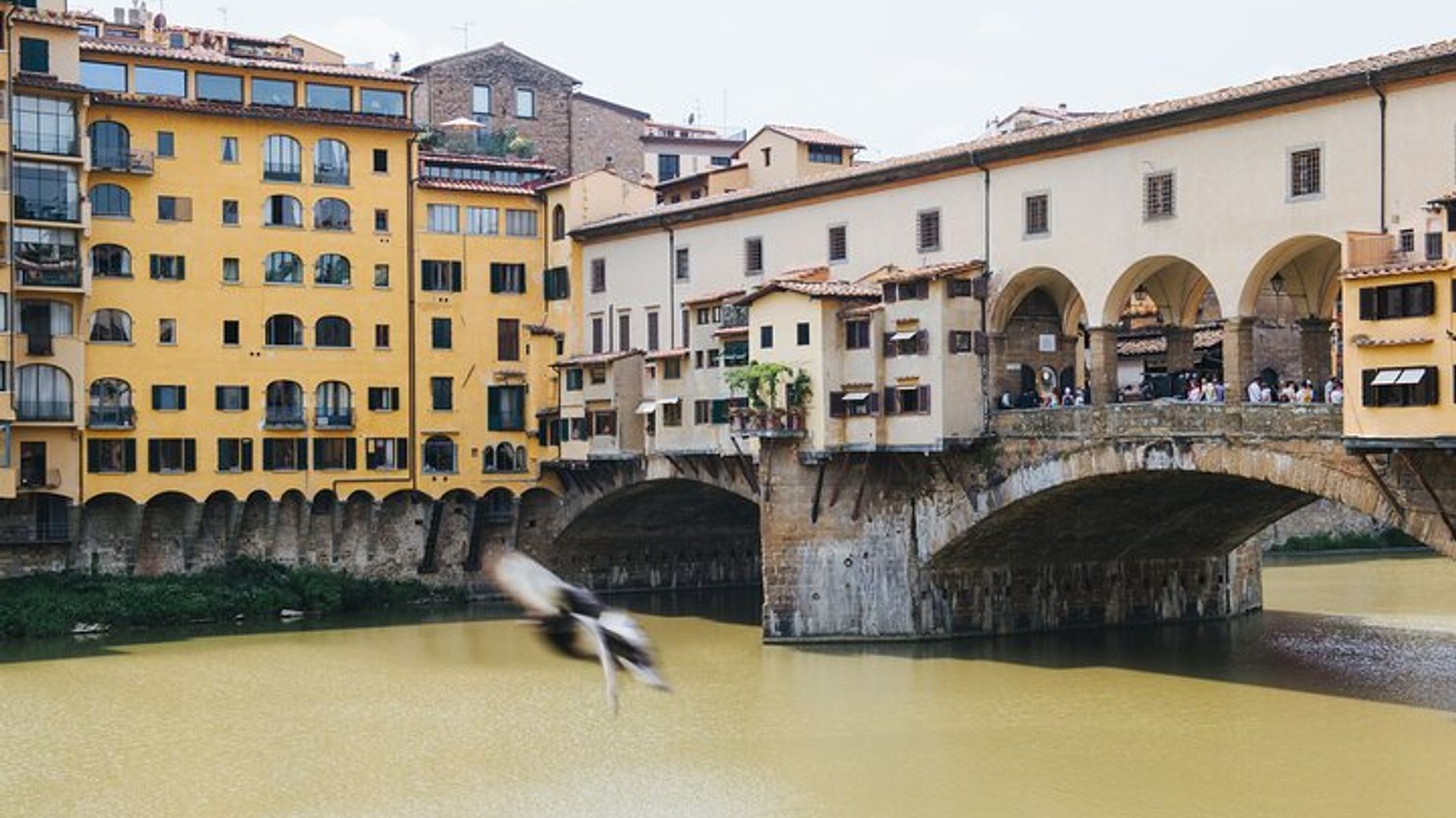Florence and Pisa Shore Excursion from La Spezia