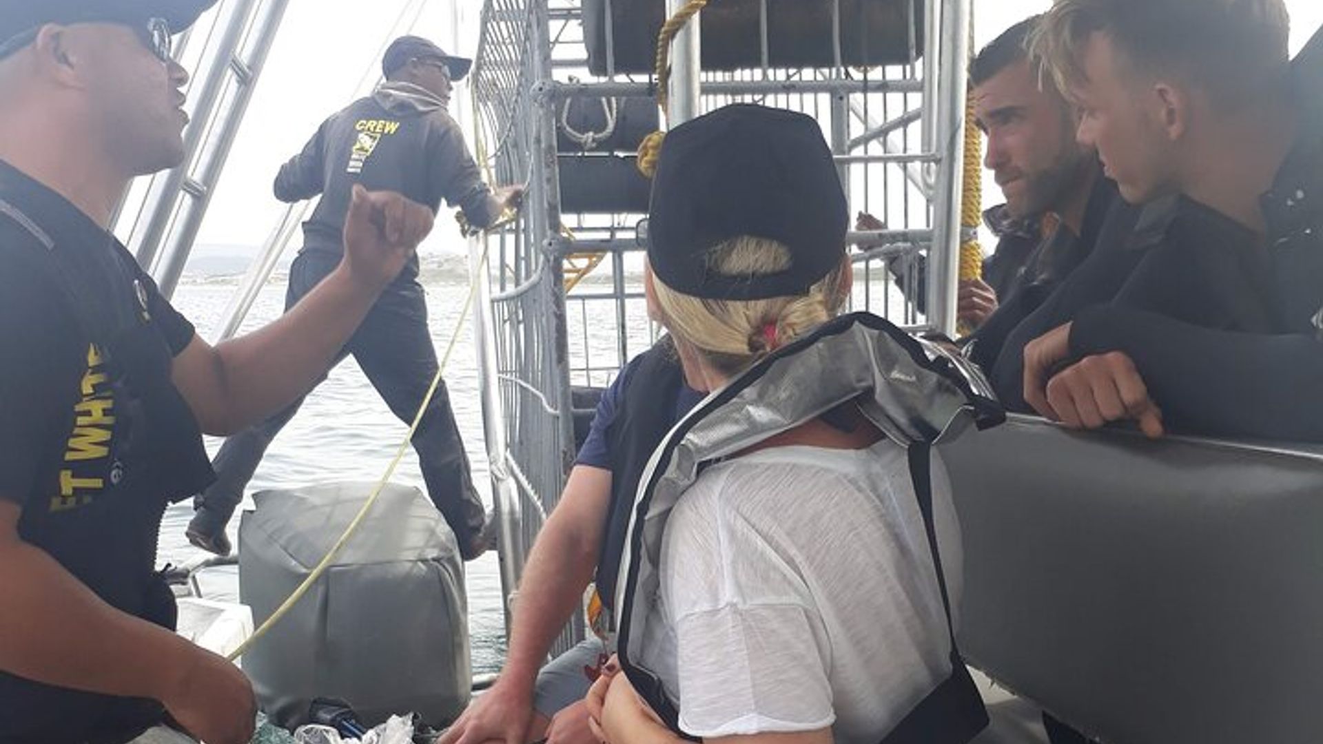 Shark Cage Diving