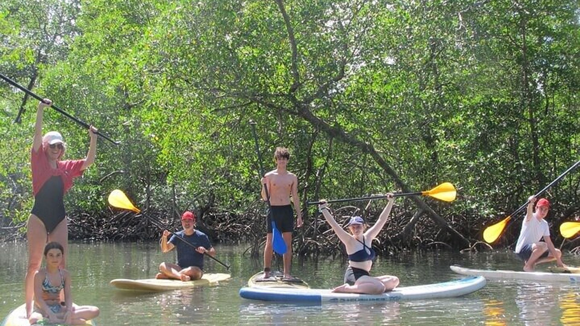 Mangrove Paddle Ride Sainte Anne Guadeloupe