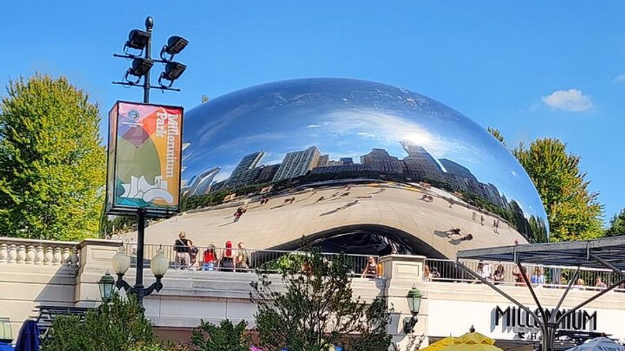Chicago City Small-Group Minibus Tour