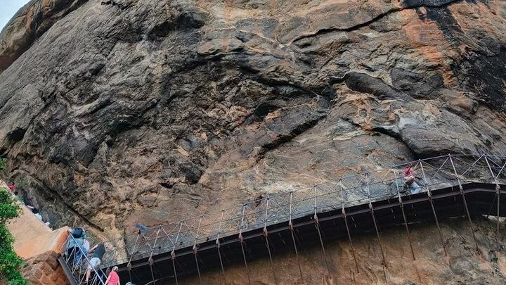 Sigiriya Hike & Minneriya Safari Private Full Day Tour