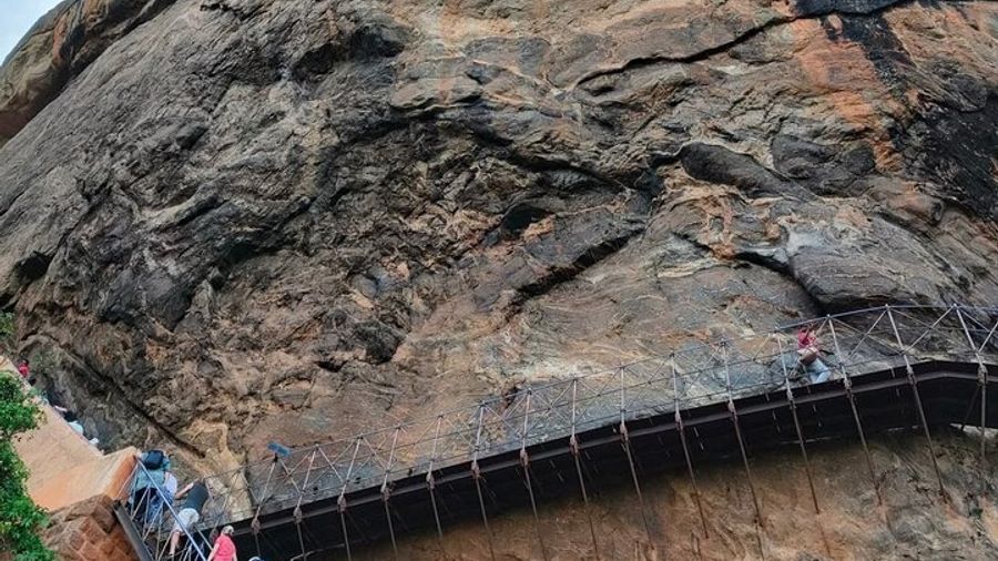 Sigiriya Hike and Minneriya Safari Private Full Day Tour