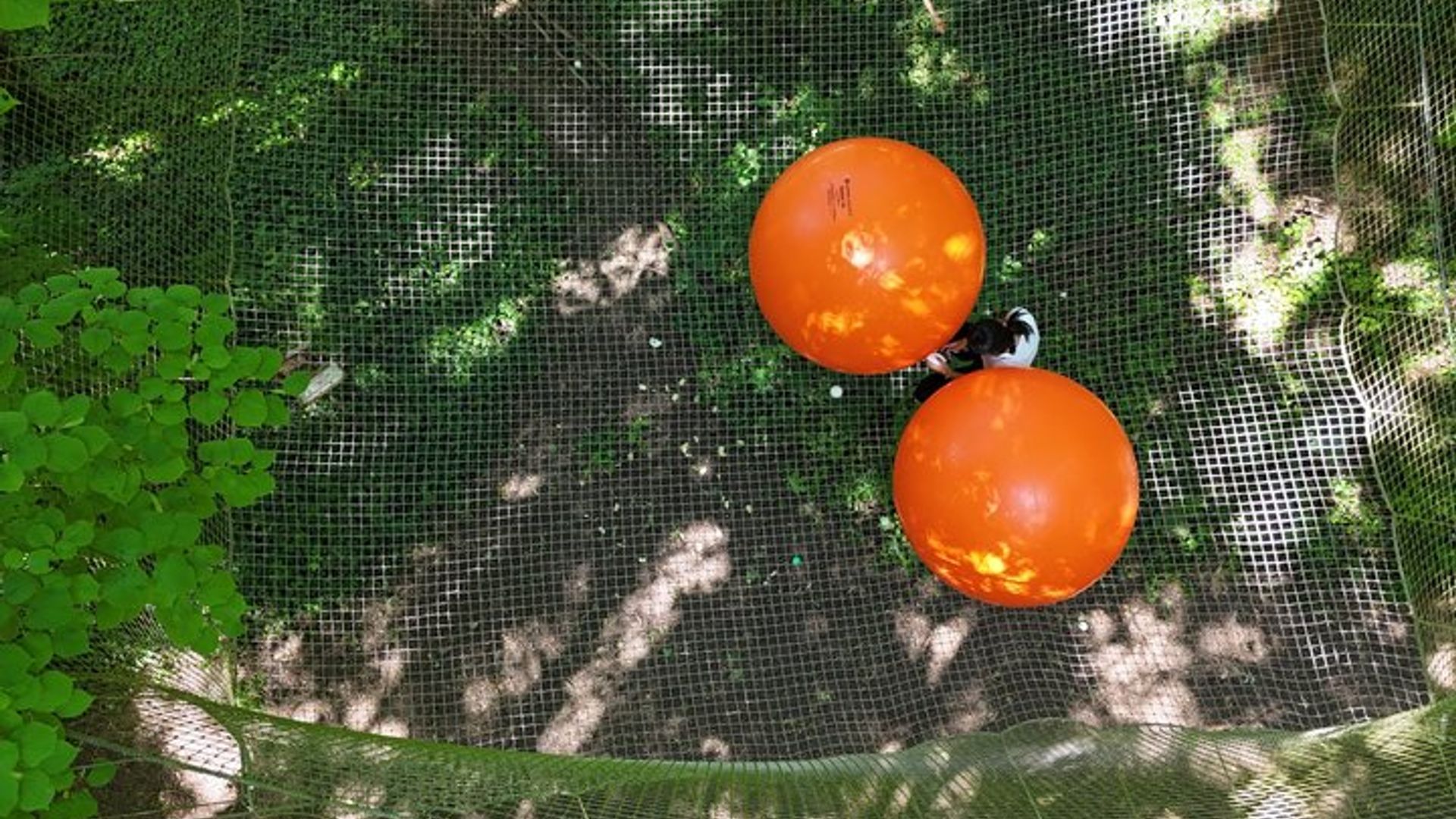 AccroCamp Poissy - Curso de aventura en las copas de los árboles