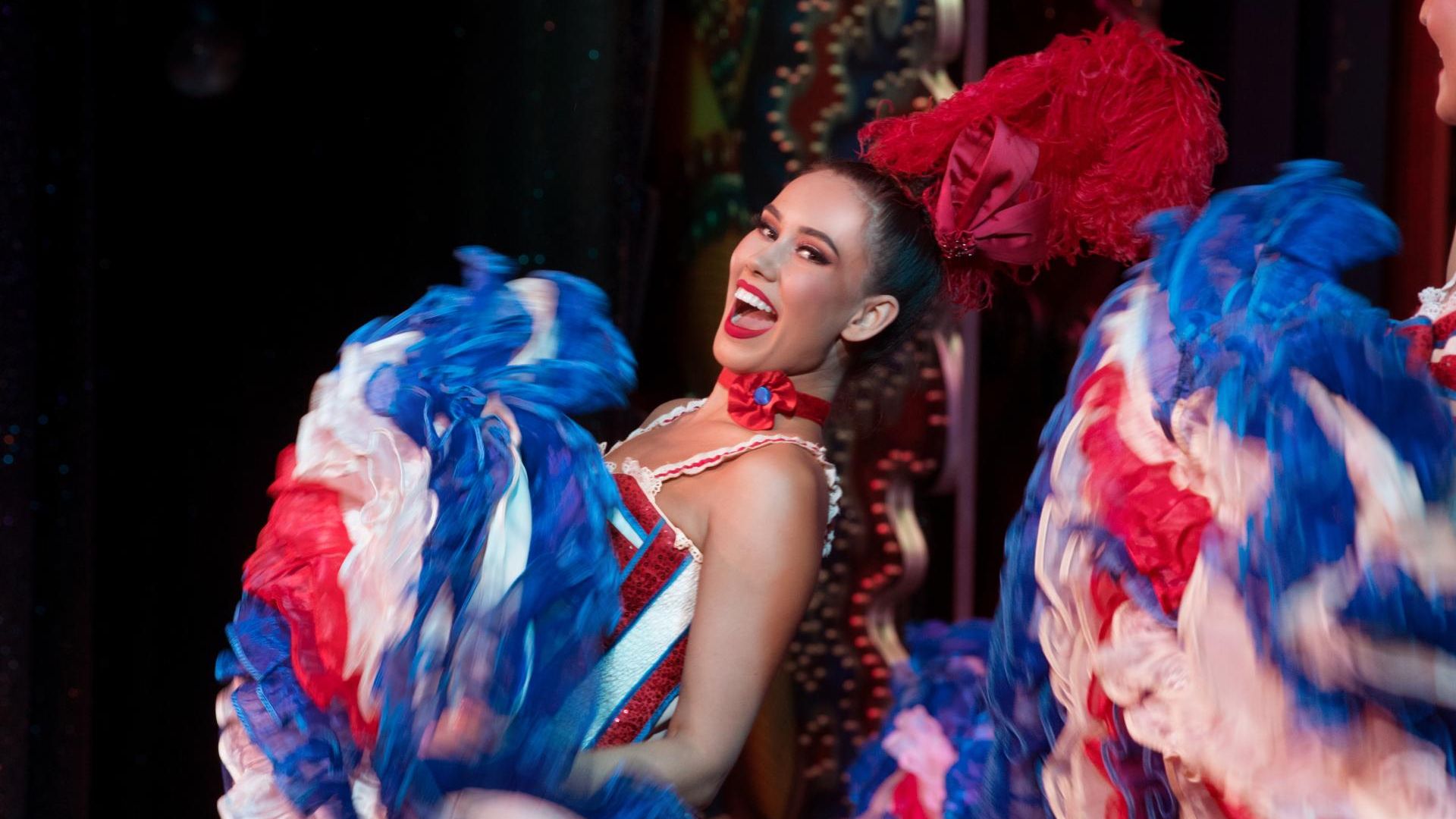 Paris: Dinner Show at The Moulin Rouge and City Tour