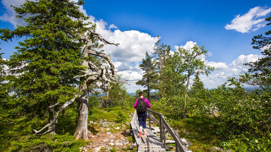 Rovaniemi: Korouoma Canyon Hike Tour & Barbeque - Small Group