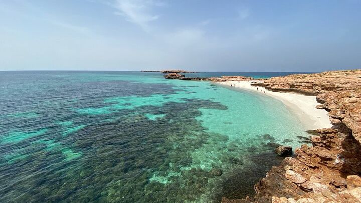 Dimaniyat Islands Snorkeling and Dolphin Watching Trip