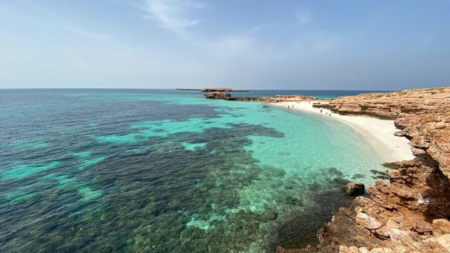 Dimaniyat Islands Snorkeling and Dolphin Watching Trip