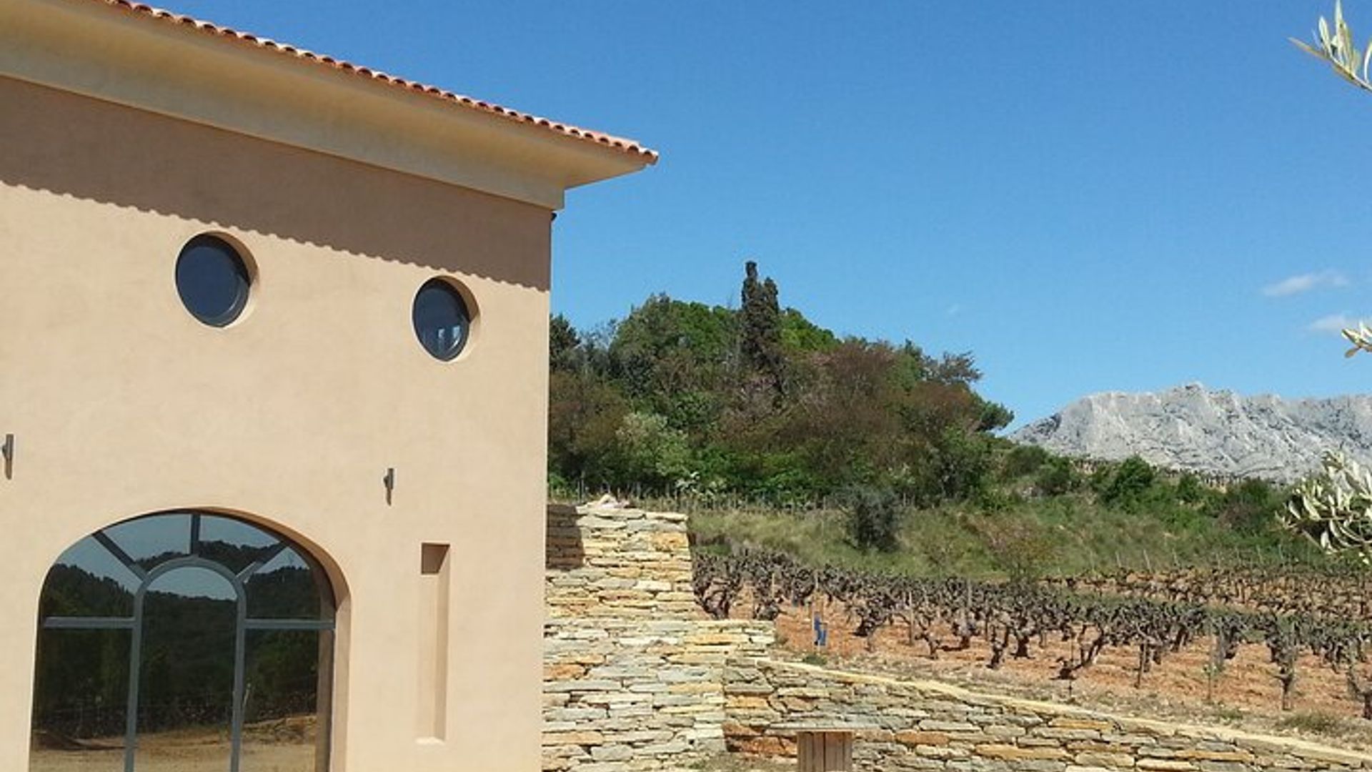 Wine Tour and Tasting in AOC Palette