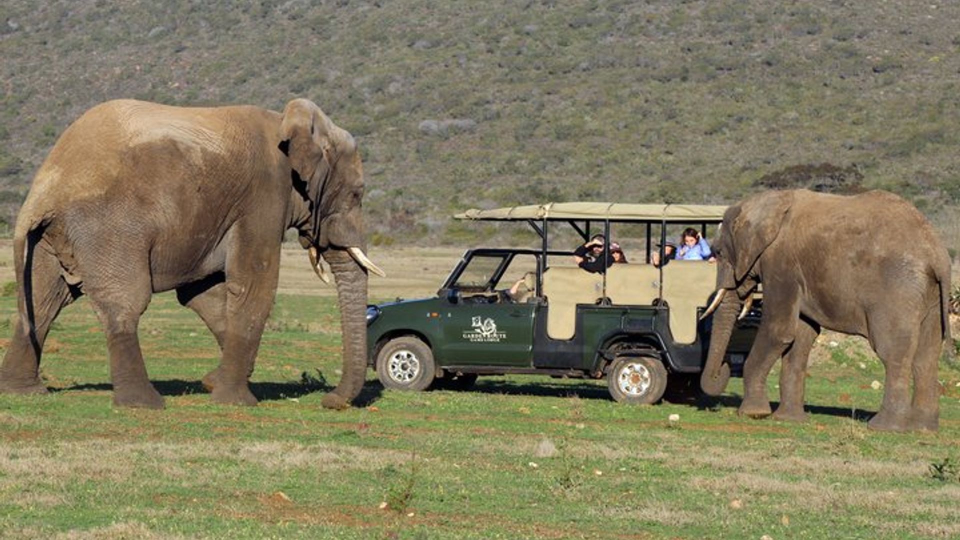 2-Day Garden Route Small-Group Safari from Cape Town
