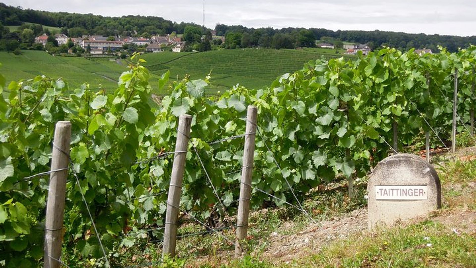 Excursion d'une journée au Champagne au départ de Paris avec 8 dégustations et déjeuner