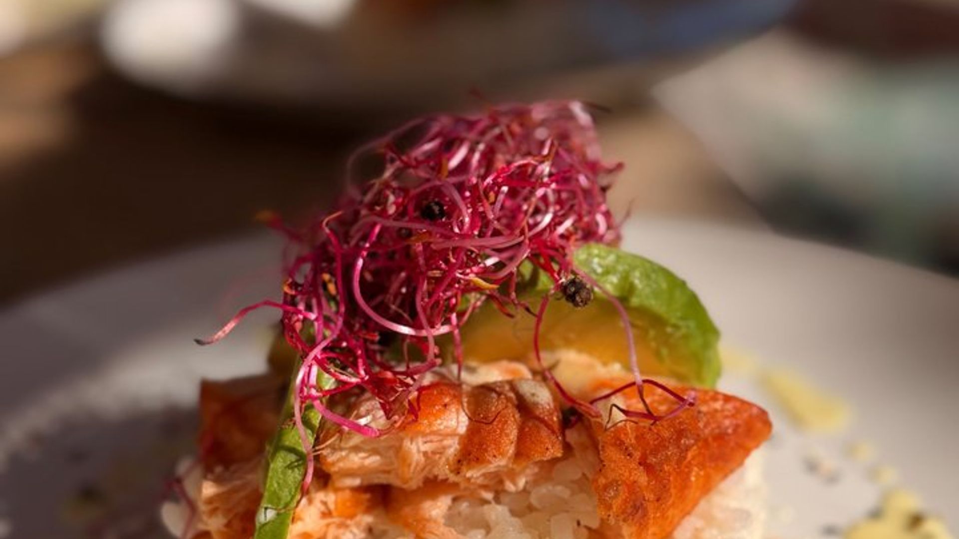 Dîner au Vignoble Saint Tropez