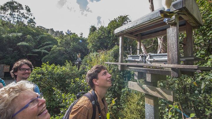 Zealandia Ecosanctuary Small-Group Guided Walking Tour