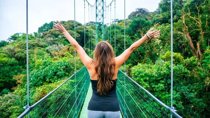 Puntarenas Shore Excursion: Rainforest Skywalk & Tarcoles River