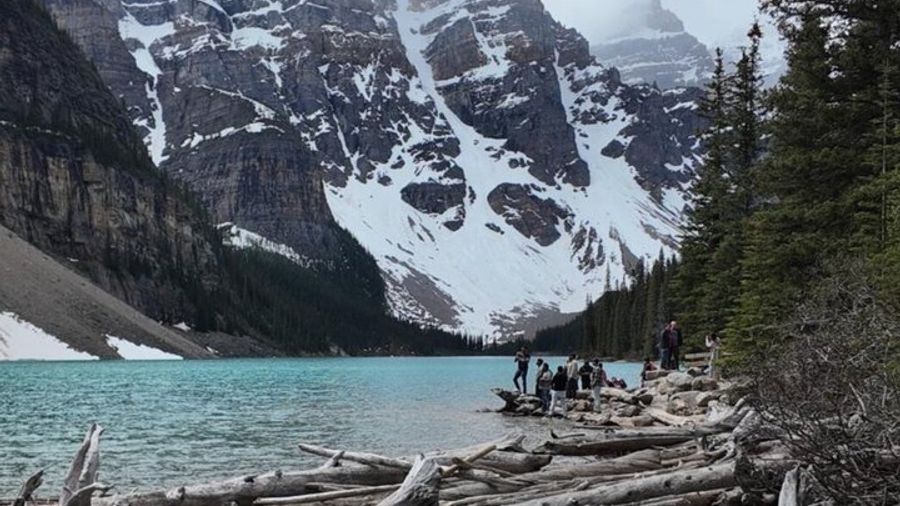 Moraine Lake & Lake Louise Tour from Calgary/Canmore/Banff